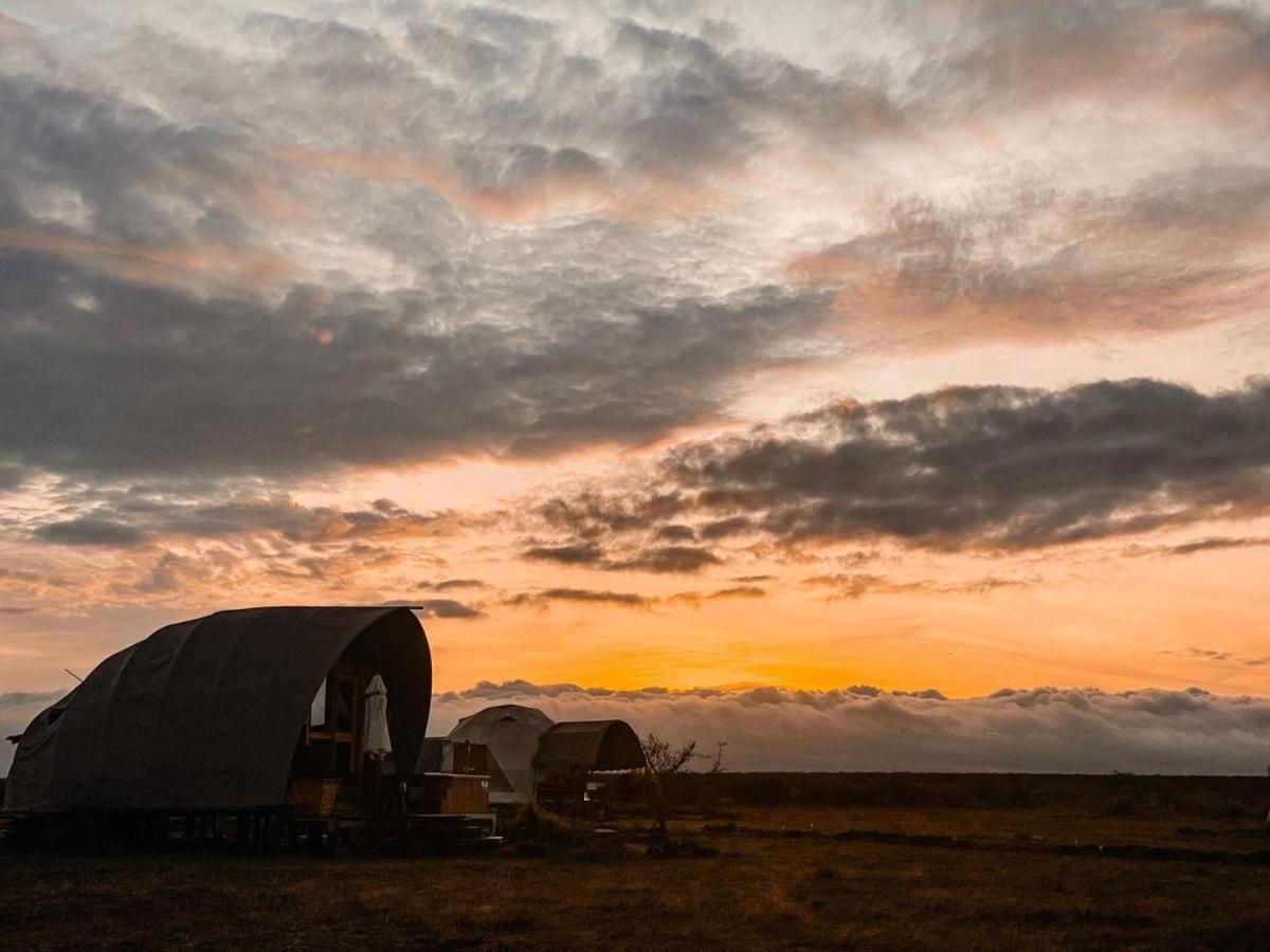 Amanya 1 -Bed King Lion Tent Amboseli-Nationalpark Exterior foto